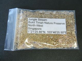 Singapore Jungle Stream Bukit Timah Nature Preserve Sand Sample