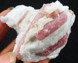 70g Gem Pink Tourmaline&quartz Crystals Minerals Specimens China