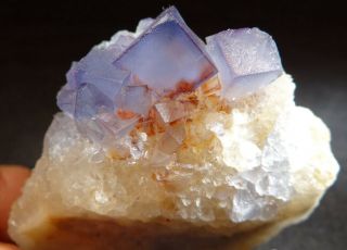 Blue Fluorite And Quartz Cluster - Mexico