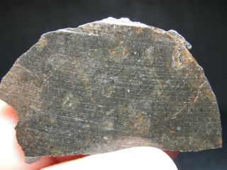 Nwa 11204 Official Meteorite Ll4 - S3 - W3 Chondrite - G685 - 0011 - 8.  28g - Slice