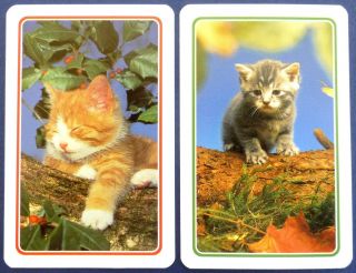 Pair Vintage Swap Cards.  Kittens / Cats,  Ginger & Grey Tabby.  Carta Mundi.