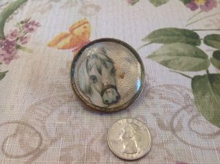 Vintage Early Horrse Cut Out On Gold Background Bridle Button