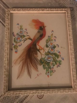 2 Bird Prints,  Framed,  Vintage Glenn F Bastian