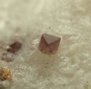 Spinel Purplish Crystals On Matrix Rare Locality Krty,  Czech Republic