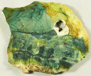 Gary Green Jasper.  Chaotic Abstract Pattern In Shades Of Blue - Green & Yellow.