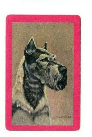1 Playing Swap Card Us Litho Blank Back - Dogs Airedale Terrier ? Artist