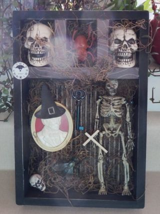 Mixed Media Creepy Shadowbox Skeleton Skulls Halloween & Photo W/ Orb