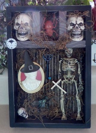 Mixed Media Creepy Shadowbox Skeleton Skulls Halloween & Photo w/ Orb 2