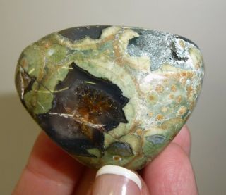 Jasper Rainforest Tumbled Chakra Stone Brazil 48 Grams