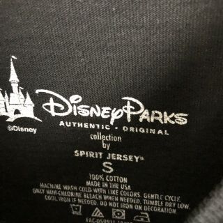 Disney Parks Disneyland Spirit Jersey Small 4