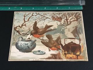Victorian Christmas Card Winter Birds