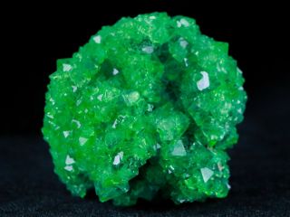 Green Alum Crystal Cluster Mineral Specimen Sokolowski From Poland 12.  6 In Long