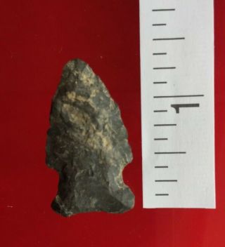 Authentic Indian Artifacts Arrowheads 1 3/8 Plamer Found In West Virginia Wv