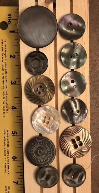 12 Gorgeous Vintage Buttons: Mother Of Pearl Or Shell; Other Assorted