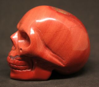 50mm 3.  9OZ Natural Red Jasper Crystal Carving Art Skull 4