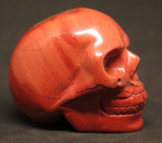 50mm 3.  9OZ Natural Red Jasper Crystal Carving Art Skull 5