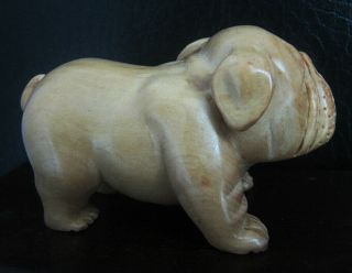 Q4128 - 2 " Stunning Hand Carved Boxwood Netsuke - Bulldog Dog