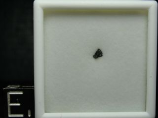 Murchison - Cm2 Carbonaceous Chondrite - Mur - 0066 - Micro - 