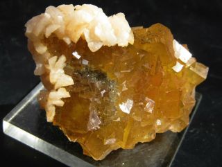 Spectacular Yellow Fluorite Crystals With Dolomite.  Asturias.  Spain.  Nºz2