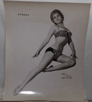 1950s - 1960s Burlesque 8 " X 10 " Black And White Photo Pin - Up Plata Mexico