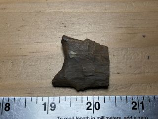 Authentic Archaic Indian Arrowhead From The Wolf Fam.  Coll.