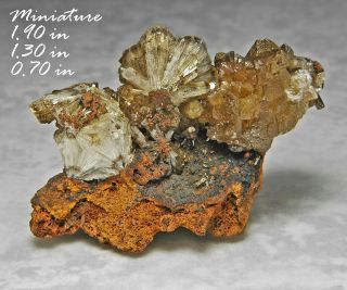 Adamite Mapimi Durango Mexico Minerals Crystals Gems - Min