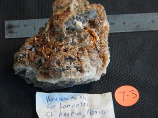 Vanadinite Crystals,  Chihuahua,  Mexico 7 - 3