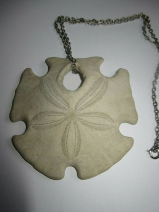 Unique Shaped Sand Dollar Sea Shell With Silver Tone Chain