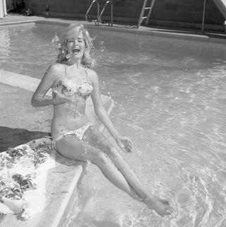 1960s Vogel Negative,  Sexy Blonde Pin - Up Girl Dorothy Hagen In Bikini,  T238350