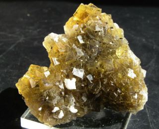 Spectacular Yellow Fluorite Crystals With Dolomite.  Asturias.  Spain.  Nºz8