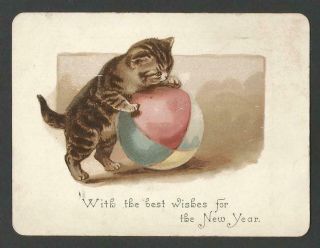 W50 - Kitten Playing With A Ball - Victorian Year Card