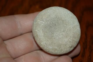 Fossilized Limestone Mississippian Discoidal Jackson Co Illinois 1.  75 X.  75