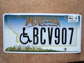 2016 Montana License Plate 100 Grams == Handicap