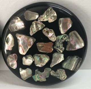 2 Vintage Abalone Shells in Resin Lucite Hot Plate Trivets Mother Of Pearl 5” 2