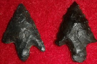 Authentic Arrowheads Artifacts Oregon Two 3/4 " Wallula Gap Points.  Ex Favell