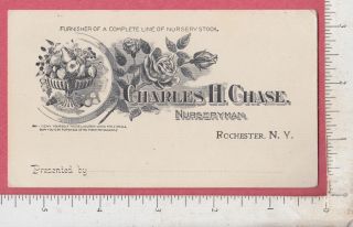 B498 Charles H.  Chase Nursery Fringe Leaf Paeony Trade Card Rochester,  Ny