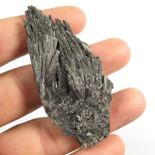 91.  00 Cts 100 Natural Black Kyanite Gemstone Fancy Rough Mineral 63x29 Mm