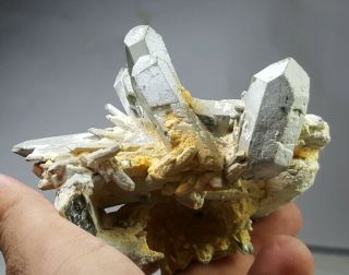 240 Grams Lovely rare Anatase On Chlorite Quartz Crystal Specimen From Pak 2
