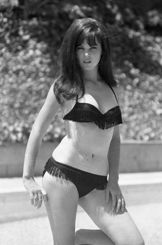 1960s Ron Vogel Negative,  Sexy Pin - Up Girl Michelle Nicol In Bikini,  T244461