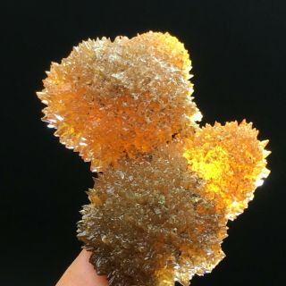 29gnew Find Rare Amber Calcite Phosphorescent Mineral Specimen
