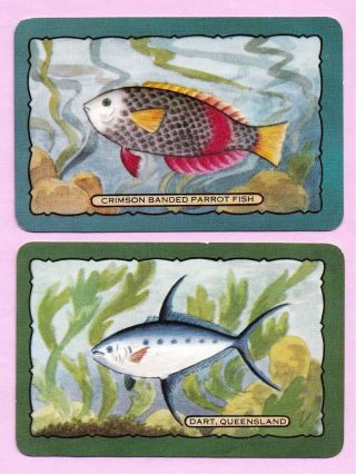 1950s Coles Named Swap Cards: Dart,  Qld & Crimson Banded Parrot Fish (pair)