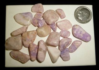 Dino: Sm.  Prairie Tanzanite Crystal Tumbled Chakra Stones,  Wyoming 30 G