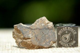 Barnstable H4 Chondrite Meteorite 1.  8g Frag From Massachusetts Found On 4/6/2019