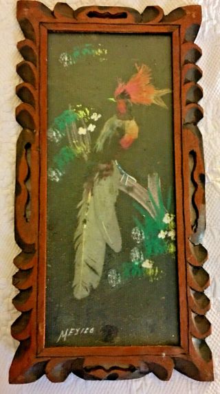 Vintage Mexican Folk Art Feathercraft Bird Picture Hand - Carved Wood Frame 8x16 "