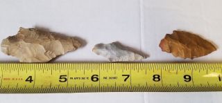 3 100 Authentic Archaic Indian Arrowheads From The Wolf Fam.  Coll.  Set: 11