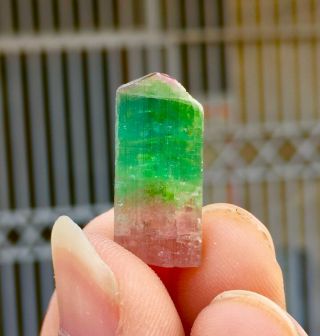 Wow 24 C.  T Top Class Damage Terminated Bi Color Tourmaline Crystal