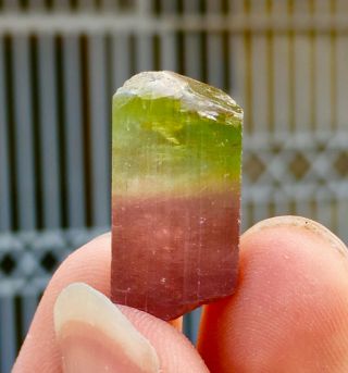 Wow 35 C.  T Top Class Damage Terminated Bi Color Tourmaline Crystal