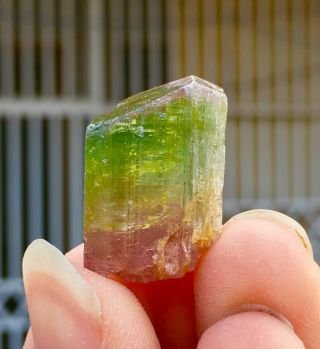 Wow 53 C.  T Top Class Damage Terminated Bi Color Tourmaline Crystal