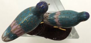 Fine Old Chinese Cloisonne Enamel Sandpiper Curlew Bird Statues Figurine w/stand 3