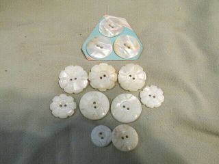 12 Vintage Carved Mother Of Pearl Mop Buttons 2 Hole Good Gentle Use T35